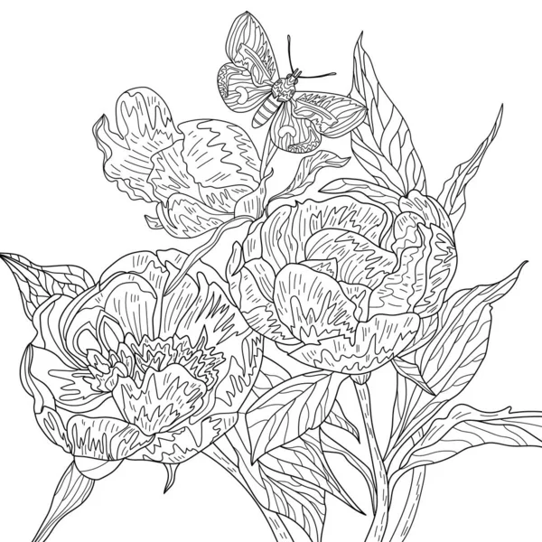 Textura Con Patrón Floral Ilustración Para Colorear Con Flores Mariposa —  Fotos de Stock