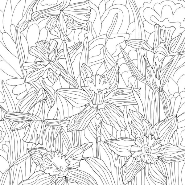 Narciso Flores Colorir Ilustração Quadro Pétalas — Fotografia de Stock
