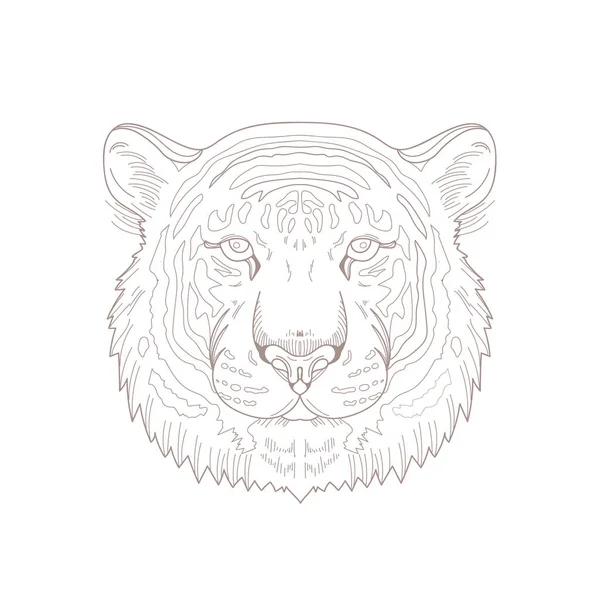 Coloring Illustration Picture Animal Art Tiger Animal — Stock Photo, Image