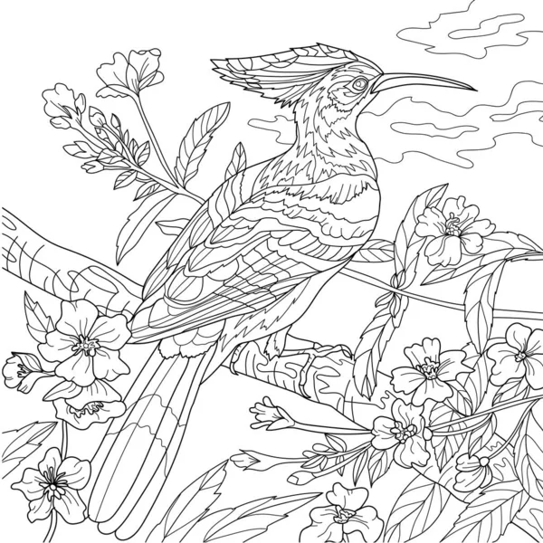 Coloriage Illustration Photo Udod Oiseau Sur Branche Arbre — Photo