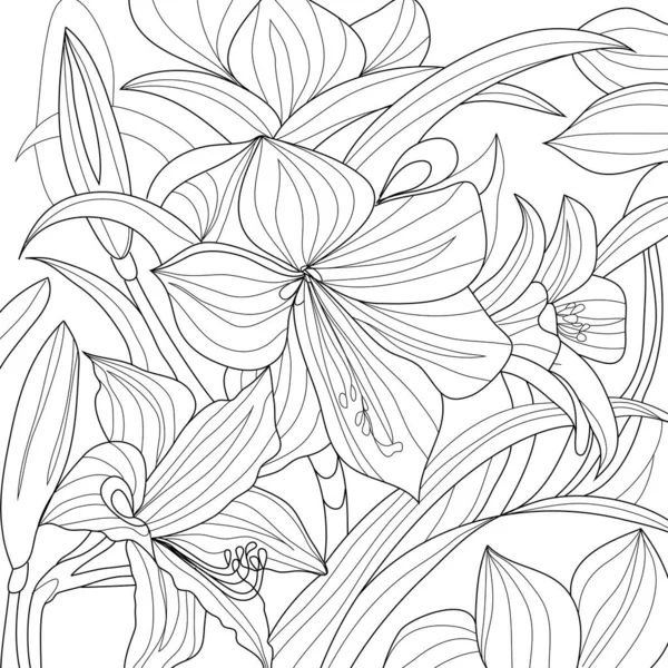 Flowers Petals Coloring Illustration Picture — Stock Photo, Image