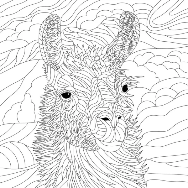 Dibujo Ilustrativo Para Colorear Arte Animal Llama Animal — Foto de Stock