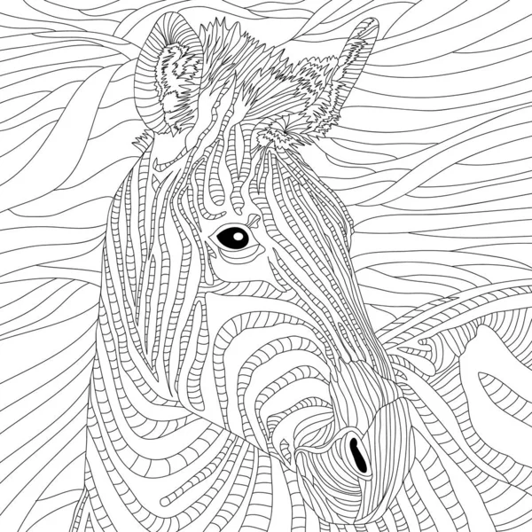 Coloring illustration picture, animal art of zebra horse animal.Vector coloring illustration with zebra. Wildlife animal image. Drawing horse. Black illustration.Colouring page. Jungle print. Monochrome line drawing