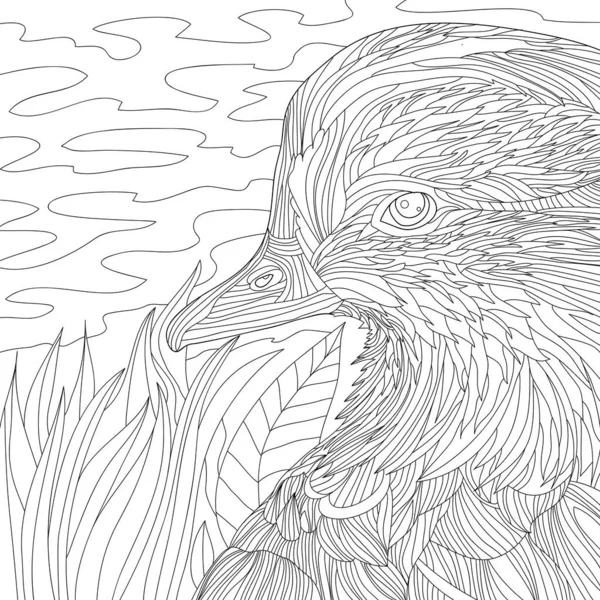 Coloriage Illustration Photo Art Animal Canard Dans Étang Avec Des Images De Stock Libres De Droits