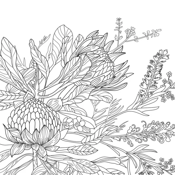 Розмальовка Безшовна Текстура Квітковим Візерунком Квітами Ліцензійні Стокові Зображення