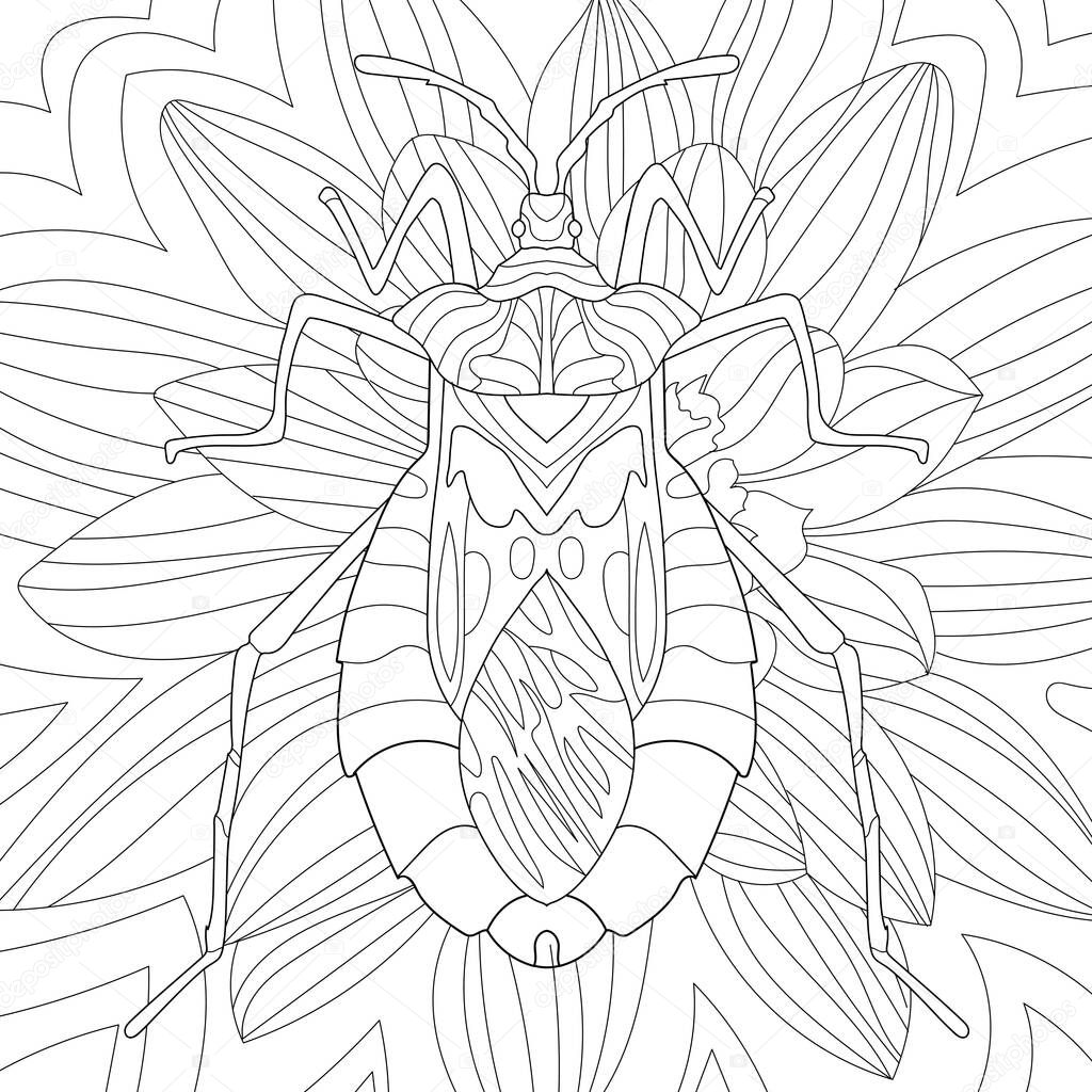 bug on flowers petals, Coloring illustration picture 
