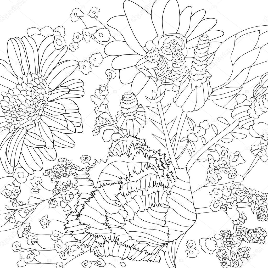 flowers petals, Coloring illustration picture 