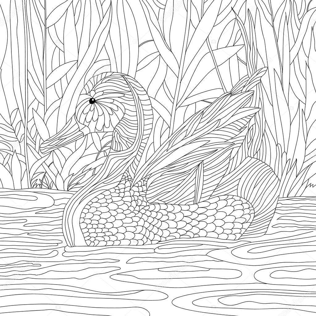 Coloring illustration picture, duck bird in pond water 