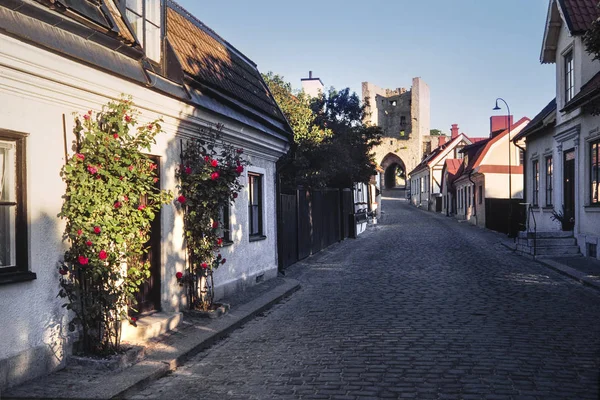 Calle Del Casco Antiguo Visby Con Rosas Rojas — Foto de Stock