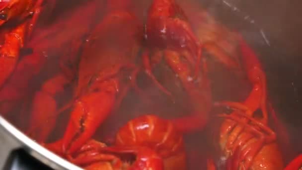 煮熟的小龙虾 — 图库视频影像