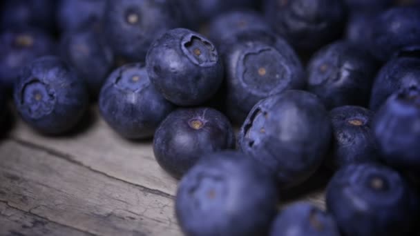 Freshly Picked Blueberries Close — Stock Video