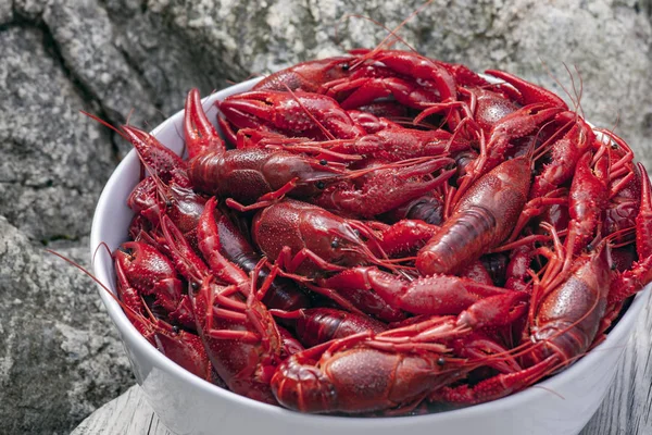 Crayfish cozido, close-up — Fotografia de Stock