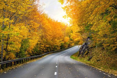 İsveç'te sonbahar doğal yol