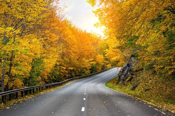 İsveç'te sonbahar doğal yol — Stok fotoğraf