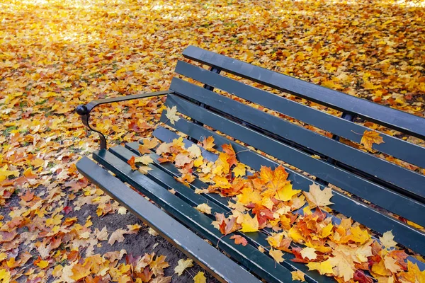 Park bench in the autumn — Stock Photo, Image