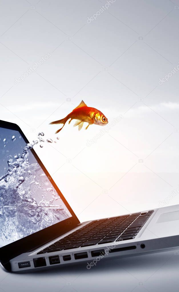 Goldfish jump out of the monitor