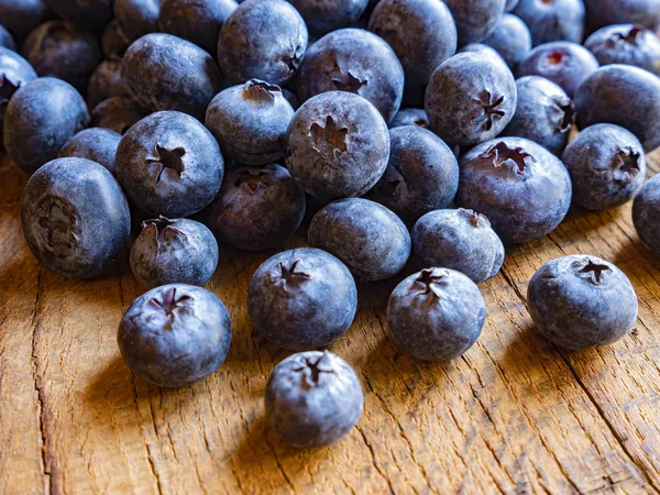 Frisch gepflückte Blaubeeren — Stockfoto