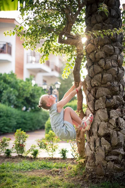 kız bir palmiye ağacı üzerinde tırmanıyor