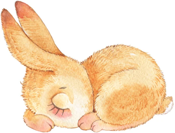 Акварельний кролик-заєць ізольована ілюстрація на білому тлі — стокове фото