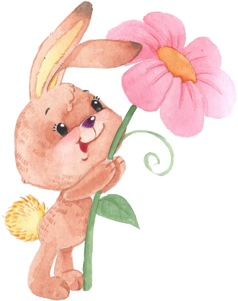 水彩兔与花孤立的插图在白色背景 — 图库照片
