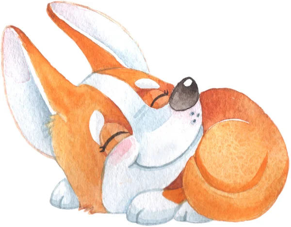 Sevimli küçük turuncu corgi köpek yavrusu uyku ve gülümseyen ile el çizilmiş suluboya illüstrasyon