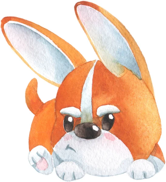 Sevimli küçük turuncu corgi köpek yavrusu oynarken el çizilmiş suluboya illüstrasyon