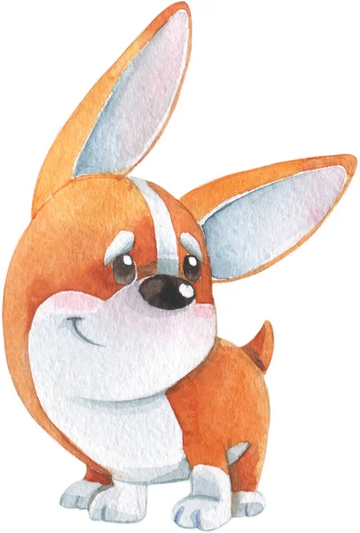 Sevimli küçük turuncu corgi köpek yavrusu gülümseyerek el çizilmiş suluboya illüstrasyon