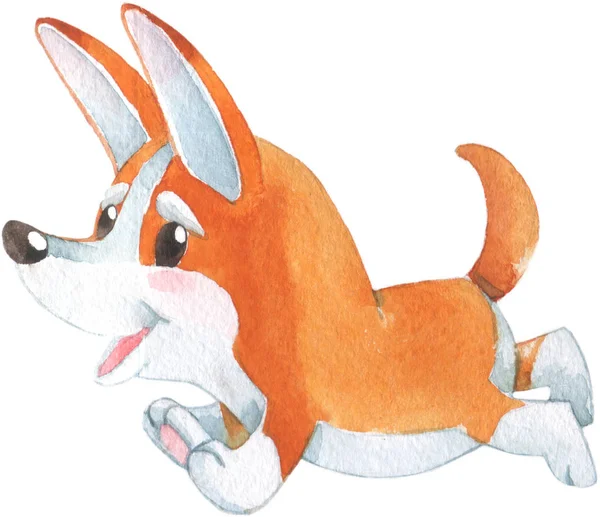 Sevimli küçük turuncu corgi köpek yavrusu gülümseyerek el çizilmiş suluboya illüstrasyon