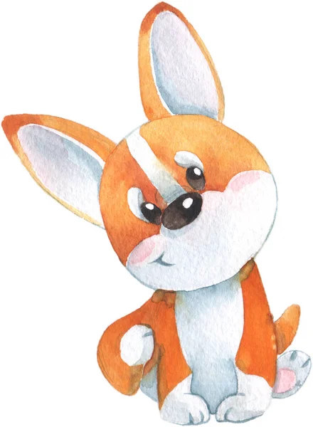 Sevimli küçük turuncu corgi köpek yavrusu gülümseyerek el çizilmiş suluboya illüstrasyon