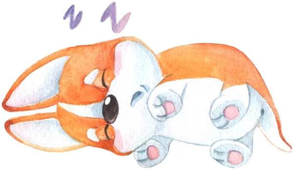 Sevimli küçük turuncu corgi köpek yavrusu uyku ve gülümseyen ile el çizilmiş suluboya illüstrasyon