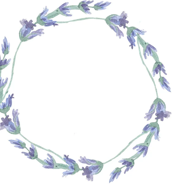 Wildflower lavendel bloem krans in een aquarel stijl geïsoleerd. Volledige naam van de plant: lavendel. Aquarelle wilde bloem voor achtergrond, textuur, wrapper patroon, frame of rand. — Stockfoto