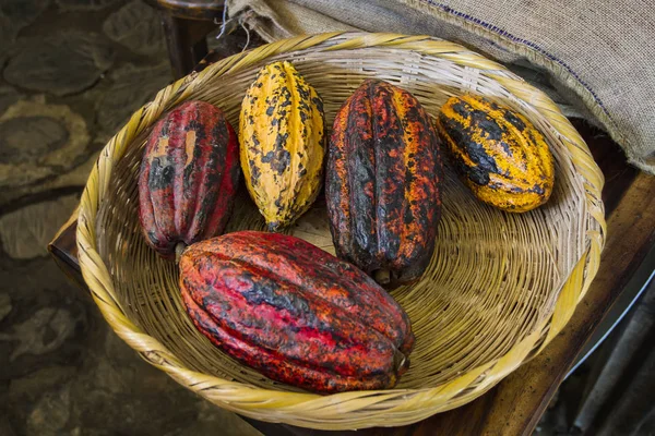 Cacao Rojo Amarillo Naranja Una Canasta —  Fotos de Stock