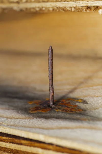 Rusted nail in blank — Stock Photo, Image