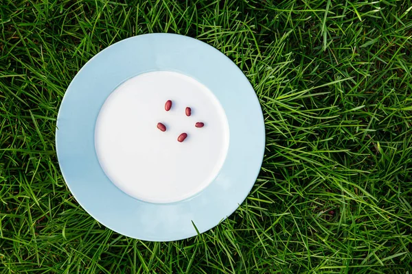 Five red kidney bean on a blue rimmed plat on grass — Stock Image Five Red Kidney Bean Blue Rimmed Plat Grass Stock Picture