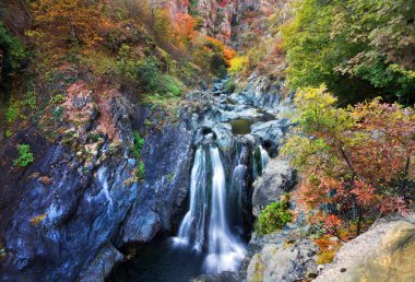 Şelale. Ağaçlar ve renkli yaprakları ile sonbahar sahne 
