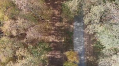 Ormanın üzerinde uçarken