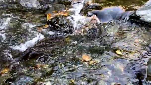 Slow Motion Video Mountain River — Stockvideo