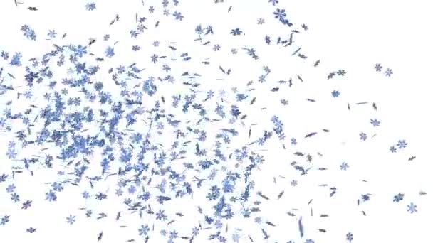 渲染的雪花与阿尔法哑光的动画 — 图库视频影像