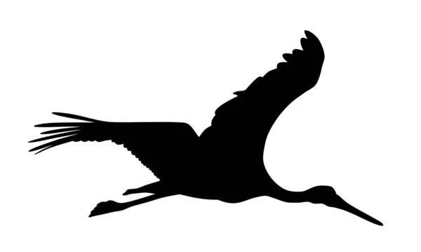 Storch — Stockvektor