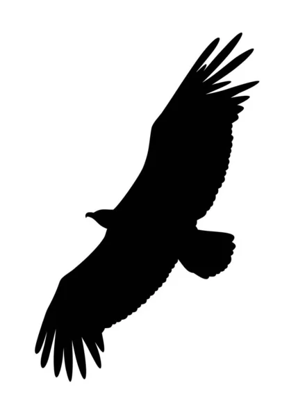 Avvoltoio grifone — Vettoriale Stock
