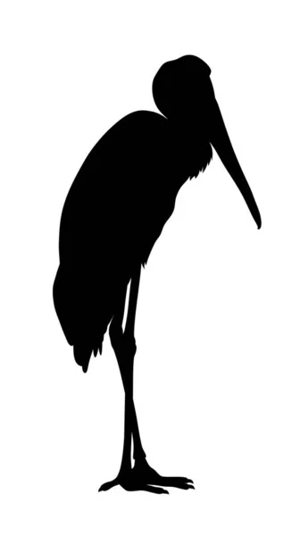 Cigogne à bec jaune — Image vectorielle