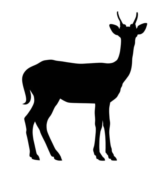 鹿群 — 图库矢量图片