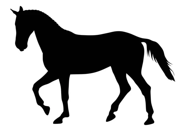 Cavalo — Vetor de Stock