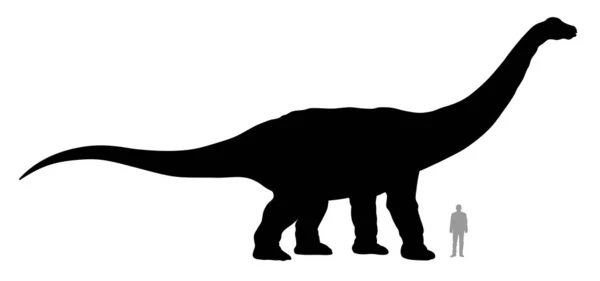 Apatosaurus — Stockový vektor