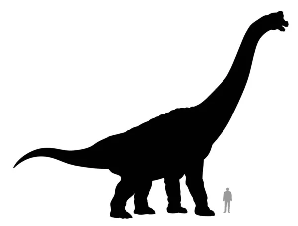 Brachiosaurus — Stockový vektor