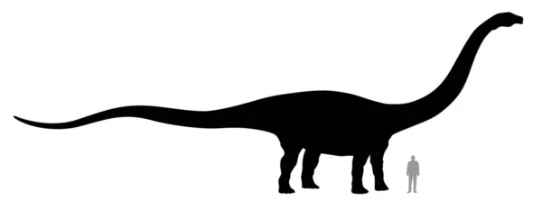 Diplodocus — Stockový vektor