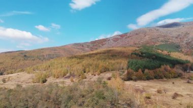 Bulgaristan 'daki sonbahar dağından hava manzarası