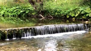 Bulgaristan 'ın Rodop dağındaki küçük nehir