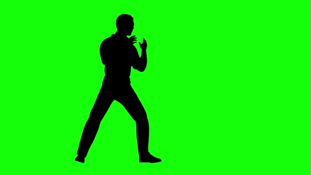 Анімація Силуету Людини Практикує Бойові Мистецтва Зеленому Екрані — стокове відео