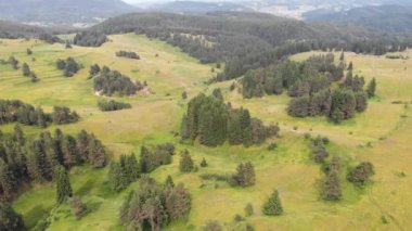 Bulgaristan ve Avrupa 'daki Rodop dağının hava manzarası